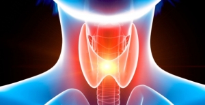 European Thyroid Association distingue projeto do i3S na área do cancro